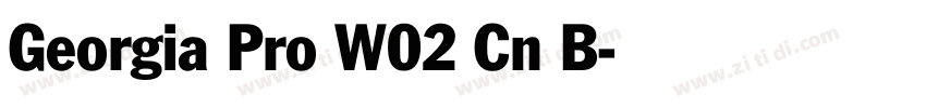 Georgia Pro W02 Cn B字体转换